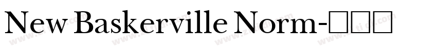 New Baskerville Norm字体转换